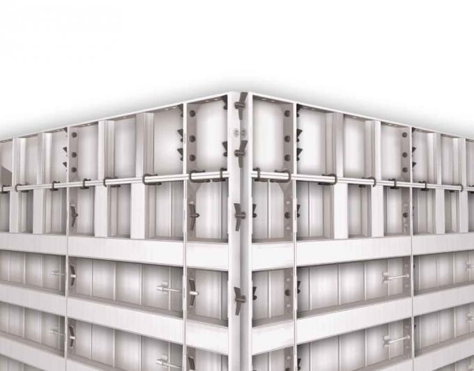 80times構造および空の建物のプラスチック型枠の壁パネル システムを再使用して下さい